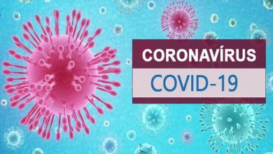 Coronavírus: O que é, sintomas e como se prevenir da COVID-19 2