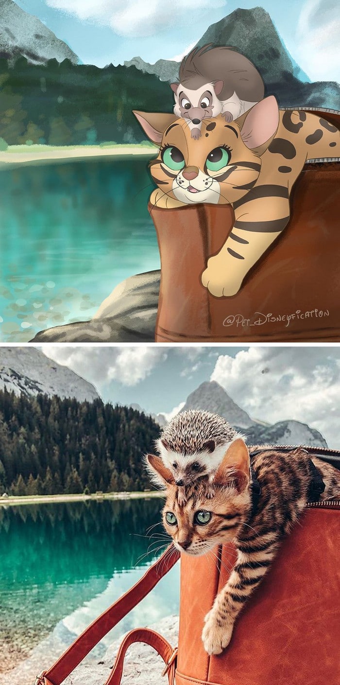 Ilustrador transforma fotos de animais de estimação em criações mágicas no estilo Disney (18 fotos) 16