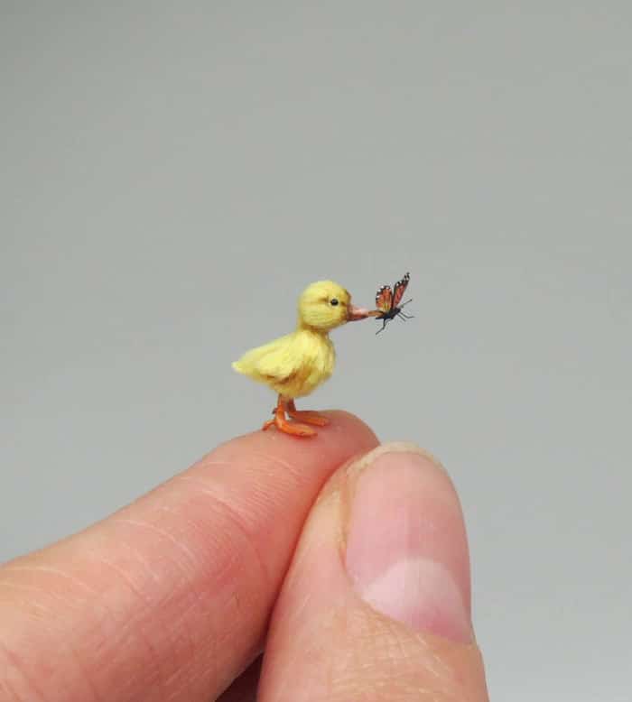 40 animais em miniatura criados pelo renomado artista Fanni Sandor 12