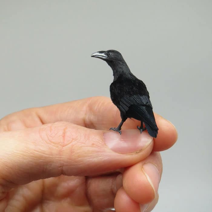 40 animais em miniatura criados pelo renomado artista Fanni Sandor 23