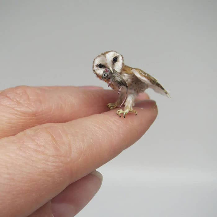 40 animais em miniatura criados pelo renomado artista Fanni Sandor 28