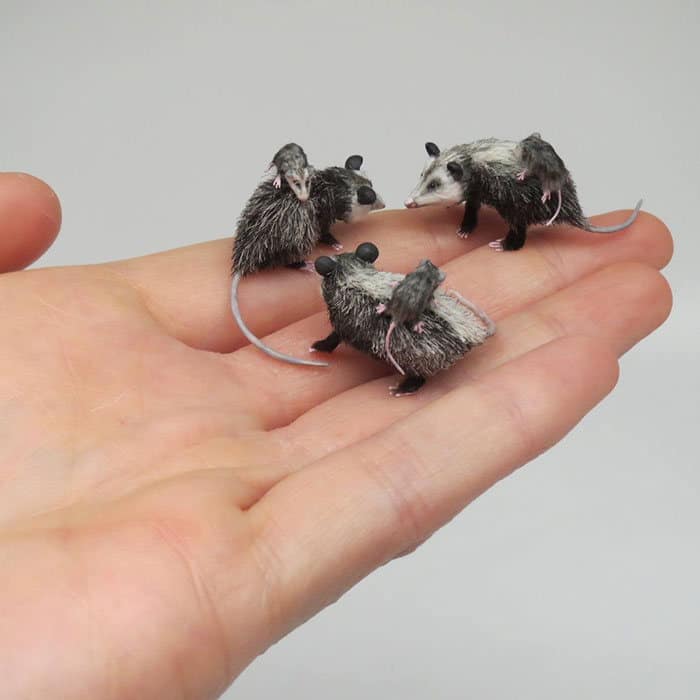 40 animais em miniatura criados pelo renomado artista Fanni Sandor 31