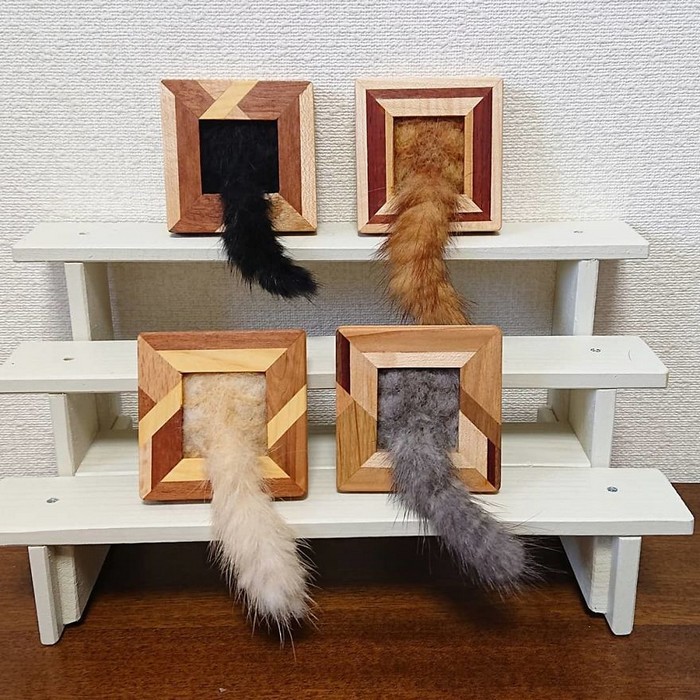 Artista japonesa cria retratos ultrarrealistas de gatos (34 fotos) 19