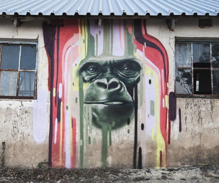 Artista sul-africano pinta grafites incríveis que interagem com o ambiente (32 fotos) 2