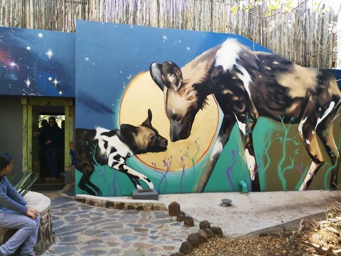 Artista sul-africano pinta grafites incríveis que interagem com o ambiente (32 fotos) 6