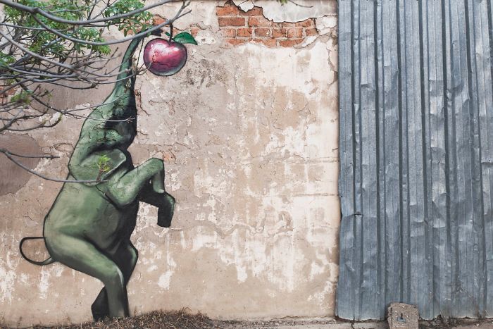Artista sul-africano pinta grafites incríveis que interagem com o ambiente (32 fotos) 11