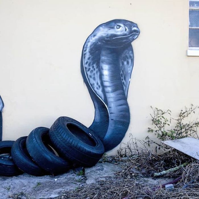 Artista sul-africano pinta grafites incríveis que interagem com o ambiente (32 fotos) 16