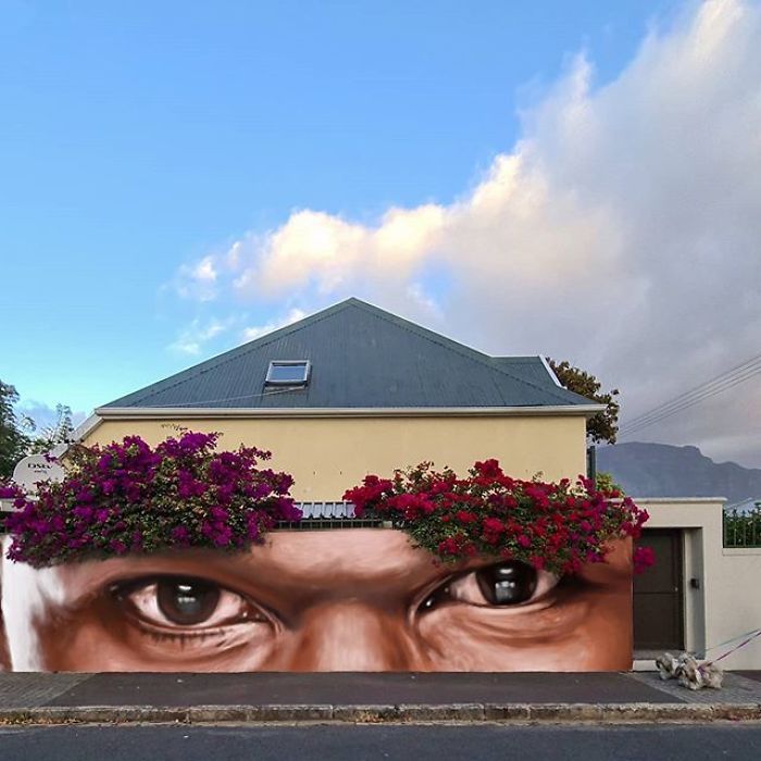 Artista sul-africano pinta grafites incríveis que interagem com o ambiente (32 fotos) 18