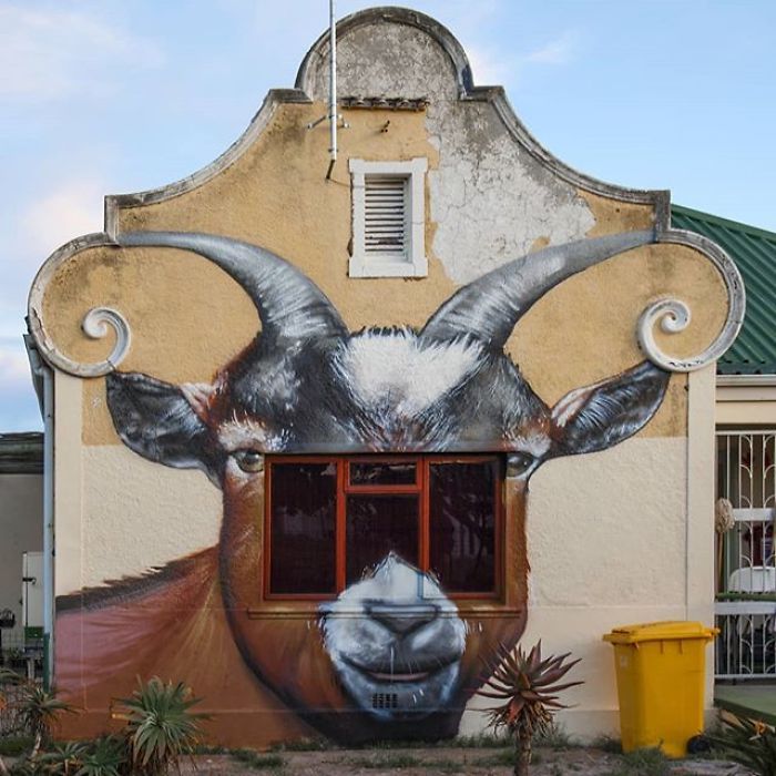 Artista sul-africano pinta grafites incríveis que interagem com o ambiente (32 fotos) 21