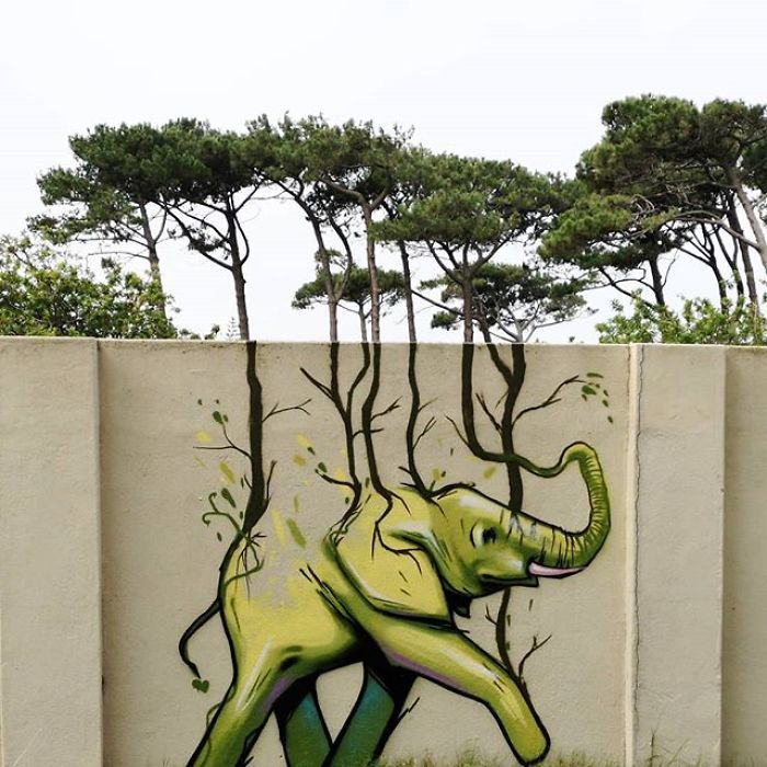 Artista sul-africano pinta grafites incríveis que interagem com o ambiente (32 fotos) 22