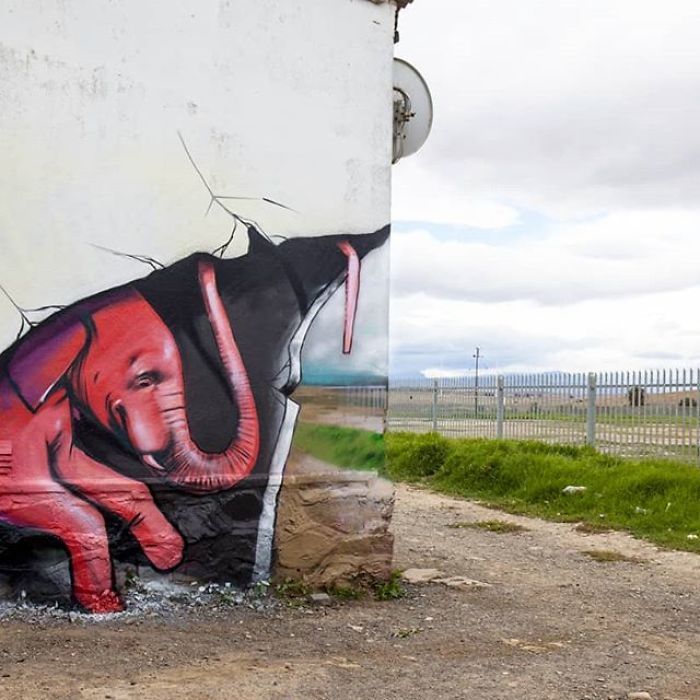 Artista sul-africano pinta grafites incríveis que interagem com o ambiente (32 fotos) 28
