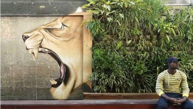 Artista sul-africano pinta grafites incríveis que interagem com o ambiente (32 fotos) 28