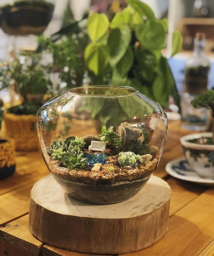 Artistas criam mundos minúsculos em recipientes de vidro (42 fotos) 17