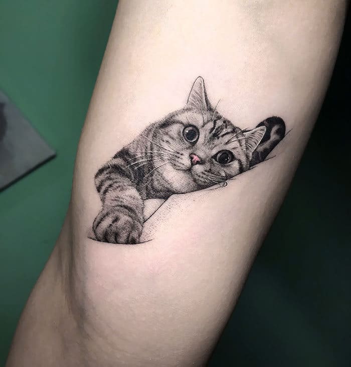 45 pessoas que fizeram tatuagens absolutamente incríveis de gatos 45