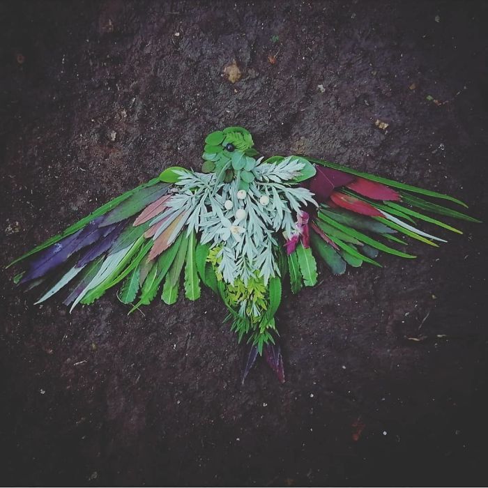 Artista usa coisas que encontra nas florestas para criar lindas mandalas de pássaros 2