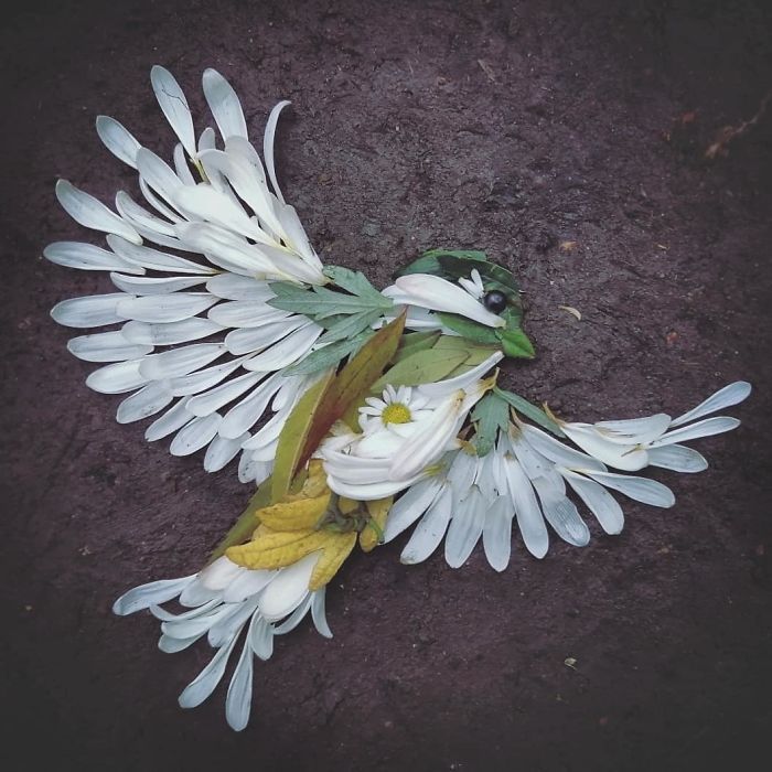 Artista usa coisas que encontra nas florestas para criar lindas mandalas de pássaros 4