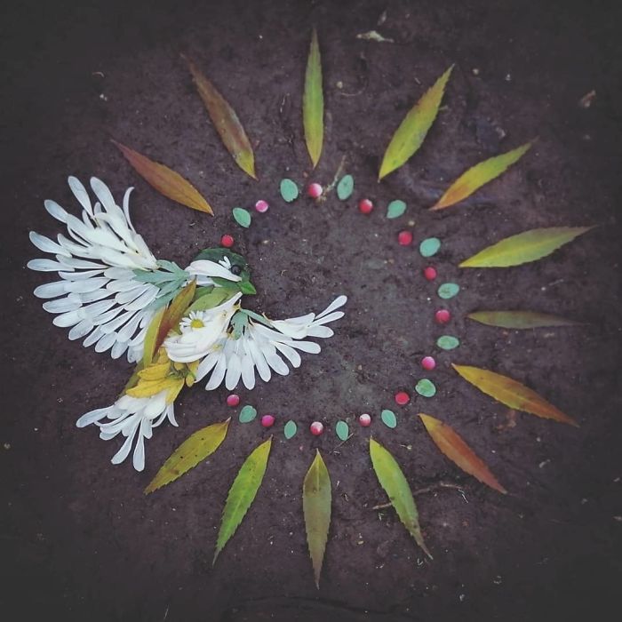 Artista usa coisas que encontra nas florestas para criar lindas mandalas de pássaros 5