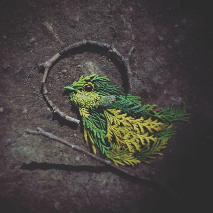 Artista usa coisas que encontra nas florestas para criar lindas mandalas de pássaros 8
