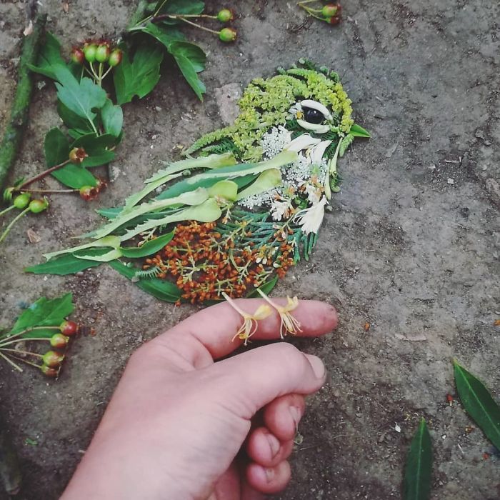 Artista usa coisas que encontra nas florestas para criar lindas mandalas de pássaros 9