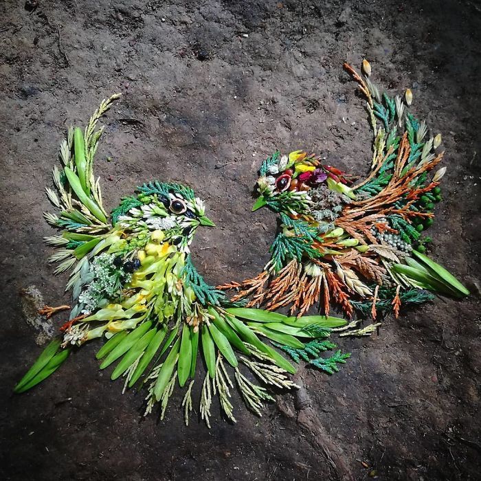 Artista usa coisas que encontra nas florestas para criar lindas mandalas de pássaros 11