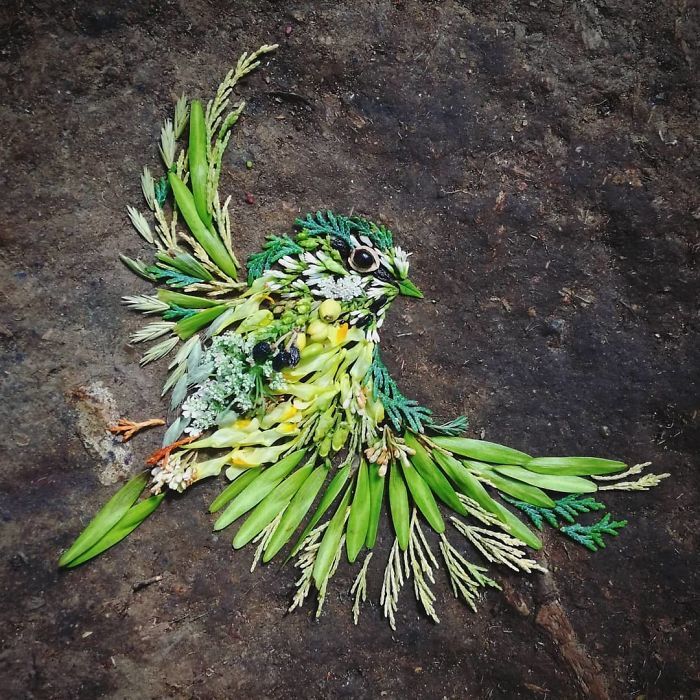 Artista usa coisas que encontra nas florestas para criar lindas mandalas de pássaros 12