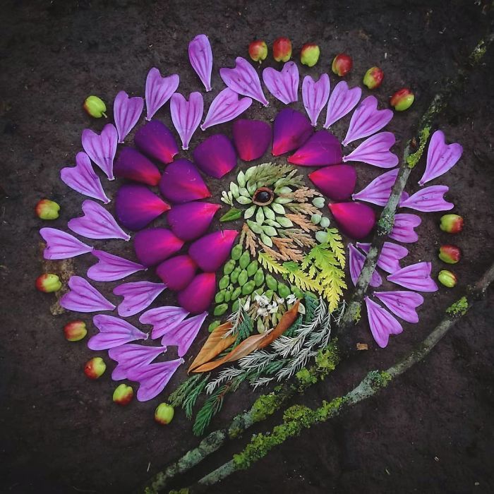 Artista usa coisas que encontra nas florestas para criar lindas mandalas de pássaros 13