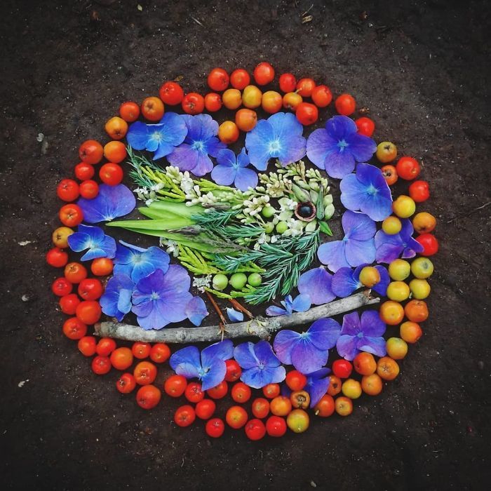 Artista usa coisas que encontra nas florestas para criar lindas mandalas de pássaros 14
