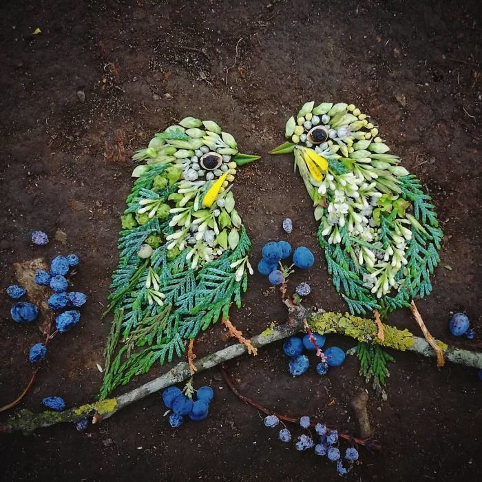 Artista usa coisas que encontra nas florestas para criar lindas mandalas de pássaros 17