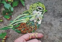 Artista usa coisas que encontra nas florestas para criar lindas mandalas de pássaros 9