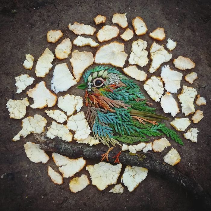 Artista usa coisas que encontra nas florestas para criar lindas mandalas de pássaros 23