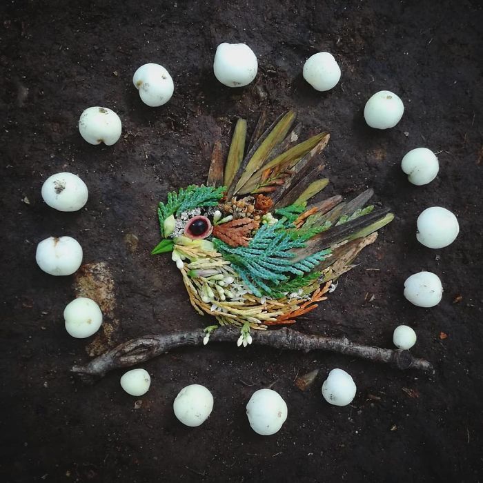 Artista usa coisas que encontra nas florestas para criar lindas mandalas de pássaros 24