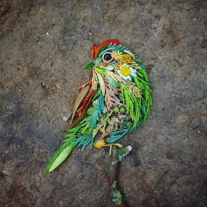 Artista usa coisas que encontra nas florestas para criar lindas mandalas de pássaros 25