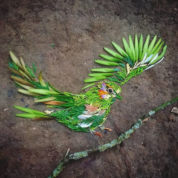 Artista usa coisas que encontra nas florestas para criar lindas mandalas de pássaros 26