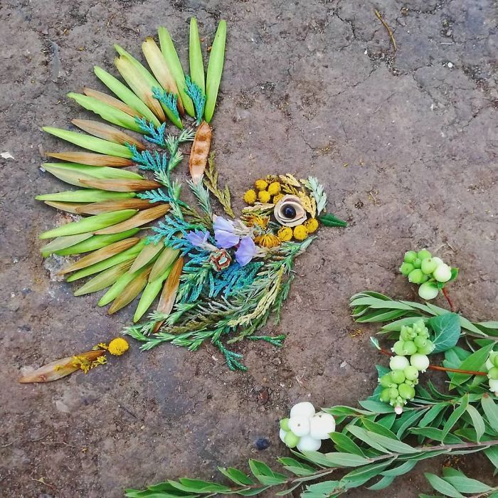 Artista usa coisas que encontra nas florestas para criar lindas mandalas de pássaros 28