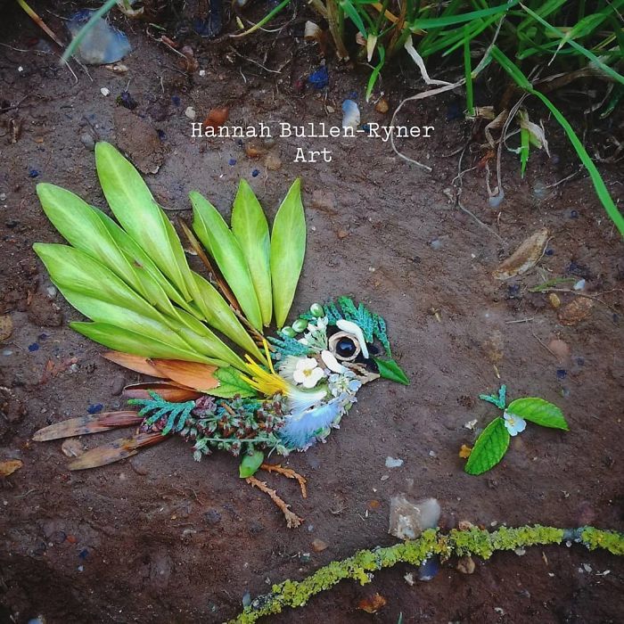 Artista usa coisas que encontra nas florestas para criar lindas mandalas de pássaros 30