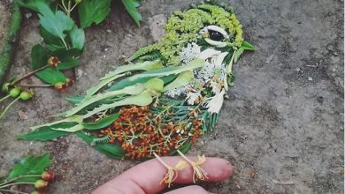 Artista usa coisas que encontra nas florestas para criar lindas mandalas de pássaros 2