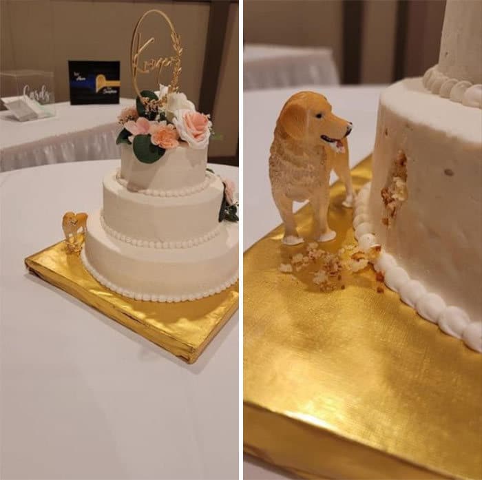 40 bolos de casamento criativos que parecem tão bons que roubaram o show 19