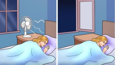 Dormir com ventilador ligado pode trazer riscos à saúde 7