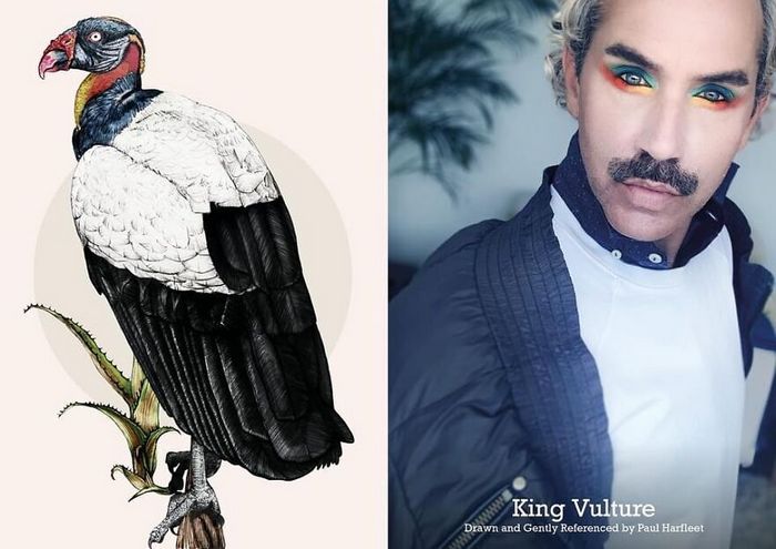 Eu crio estes looks de moda e maquiagem inspirados nos pássaros que desenho 15