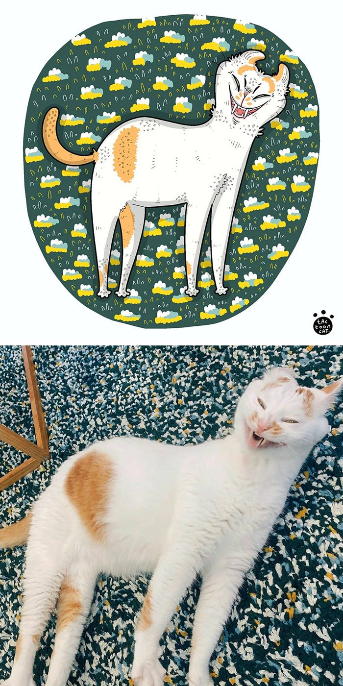 38 fotos de gatos mais engraçadas e famosas da Internet são ilustradas pela Tactooncat 2