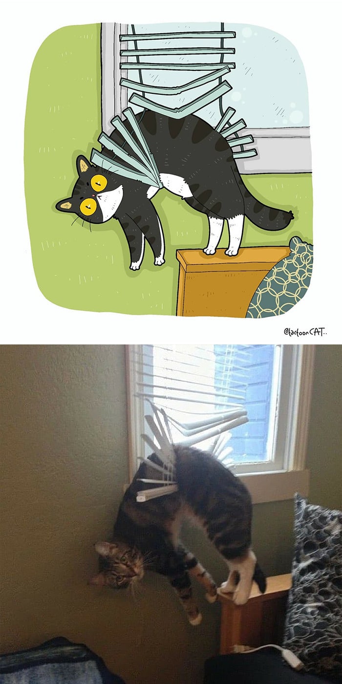 38 fotos de gatos mais engraçadas e famosas da Internet são ilustradas pela Tactooncat 5