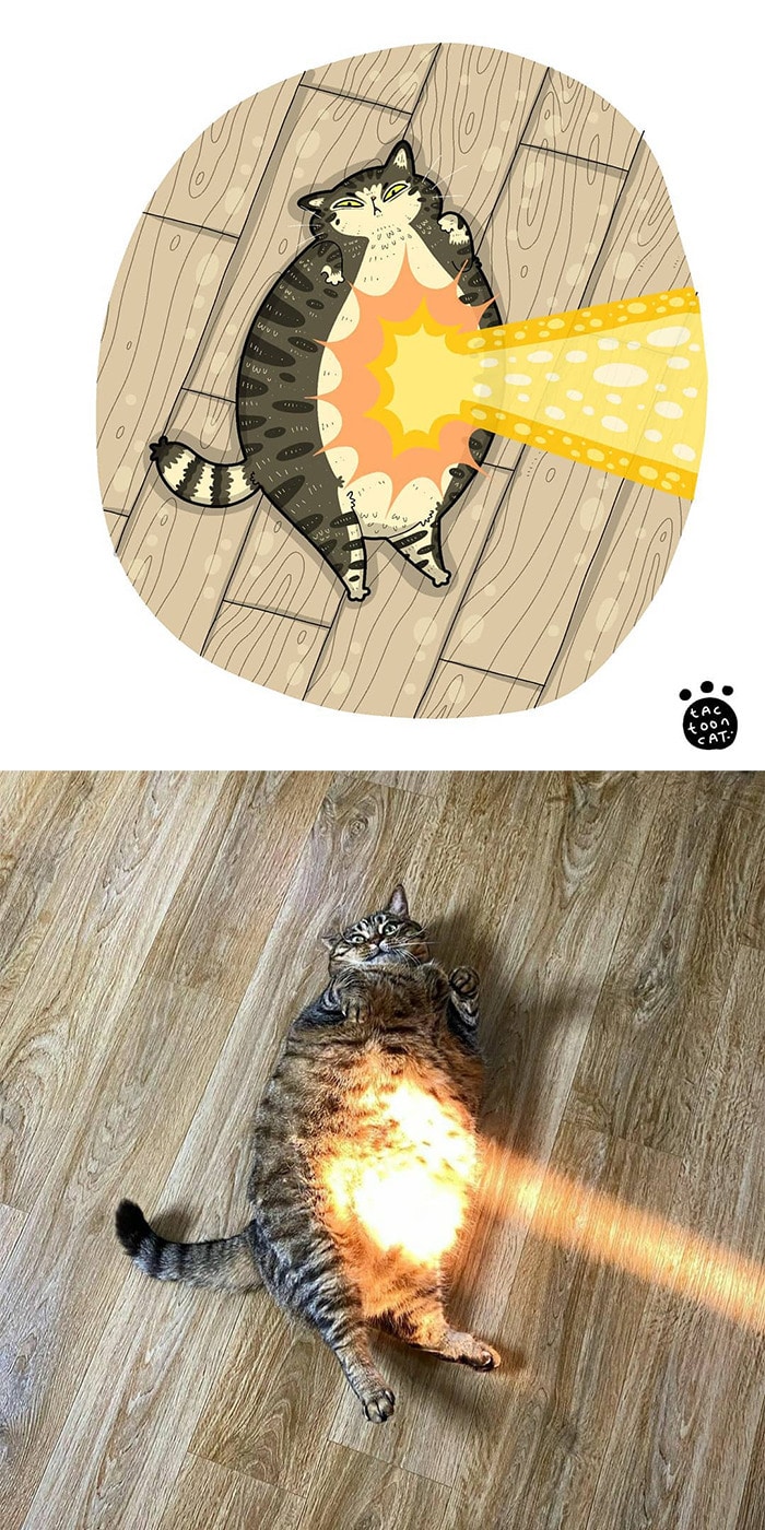 38 fotos de gatos mais engraçadas e famosas da Internet são ilustradas pela Tactooncat 8