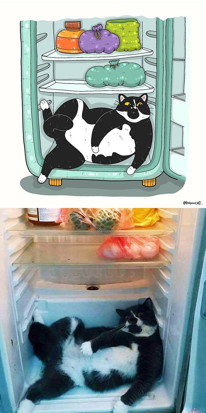 38 fotos de gatos mais engraçadas e famosas da Internet são ilustradas pela Tactooncat 12