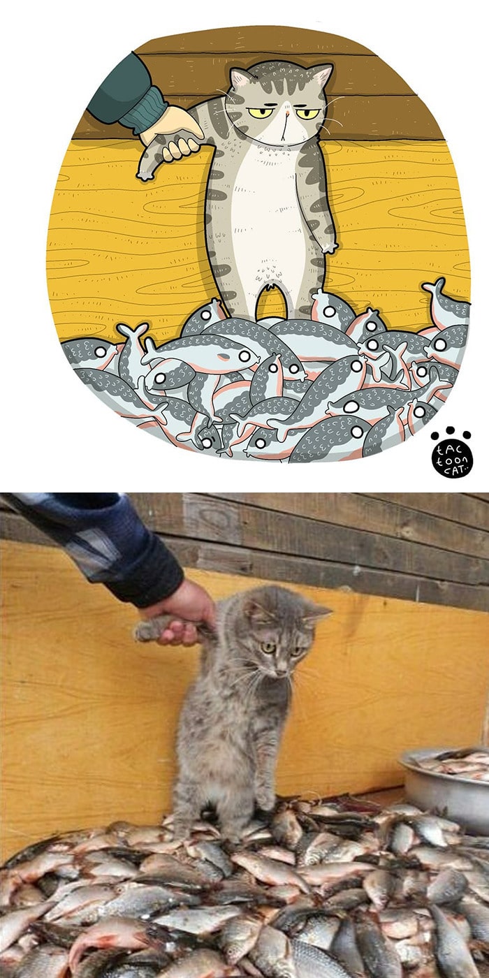 38 fotos de gatos mais engraçadas e famosas da Internet são ilustradas pela Tactooncat 13