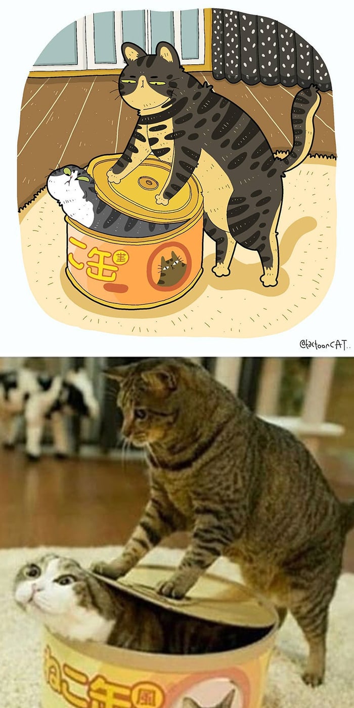 38 fotos de gatos mais engraçadas e famosas da Internet são ilustradas pela Tactooncat 20