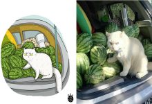 38 fotos de gatos mais engraçadas e famosas da Internet são ilustradas pela Tactooncat 31