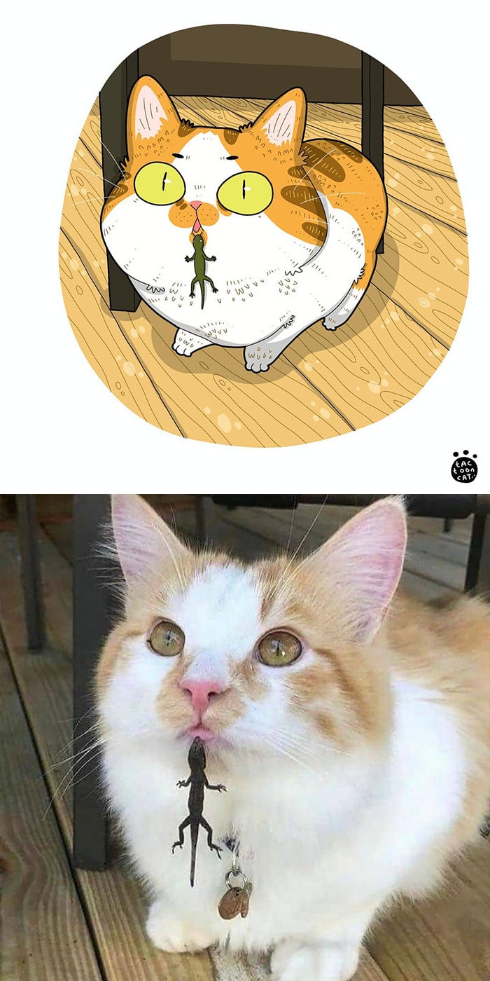 38 fotos de gatos mais engraçadas e famosas da Internet são ilustradas pela Tactooncat 29