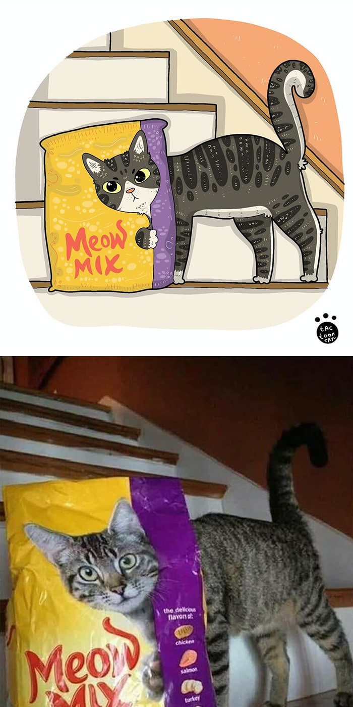 38 fotos de gatos mais engraçadas e famosas da Internet são ilustradas pela Tactooncat 33