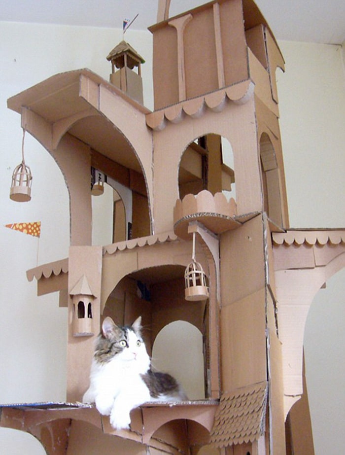 Com tédio na quarentena donos de gatos começaram a construir castelos de papelão 3
