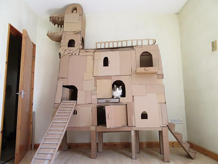 Com tédio na quarentena donos de gatos começaram a construir castelos de papelão 5
